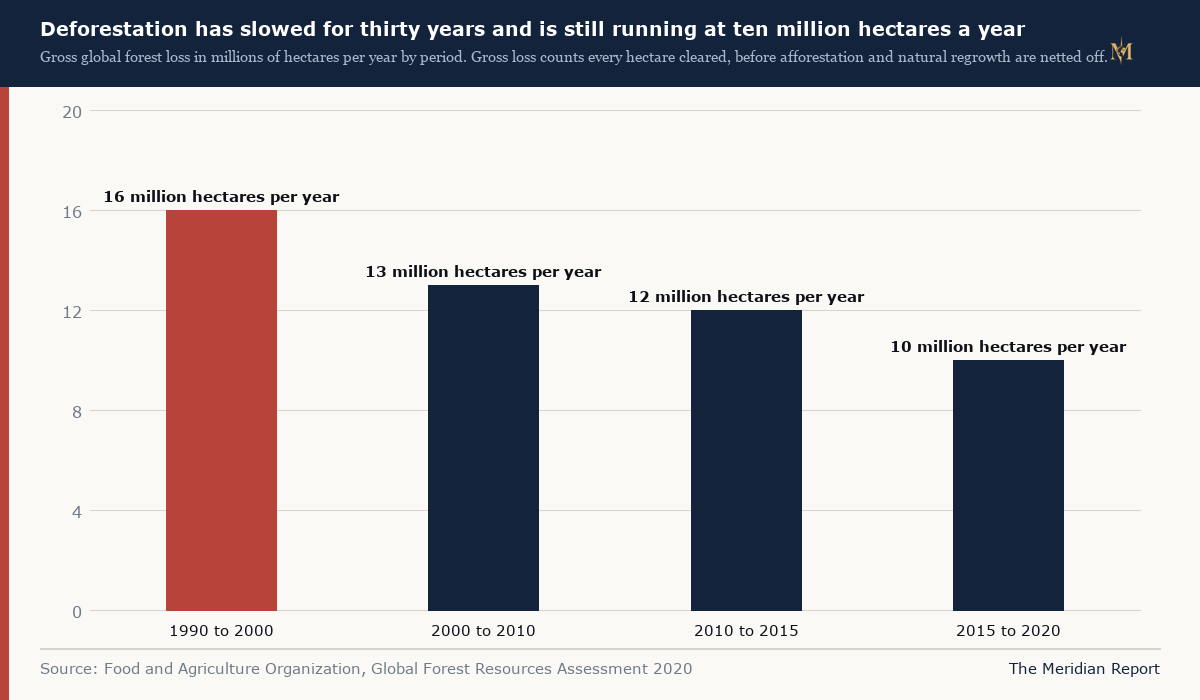 Global forest loss has slowed, and it is still larger than the regulation can absorb